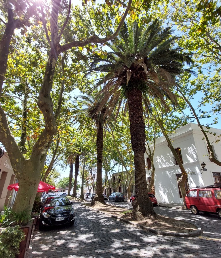Colonia del Sacramento – die älteste Stadt Uruguays