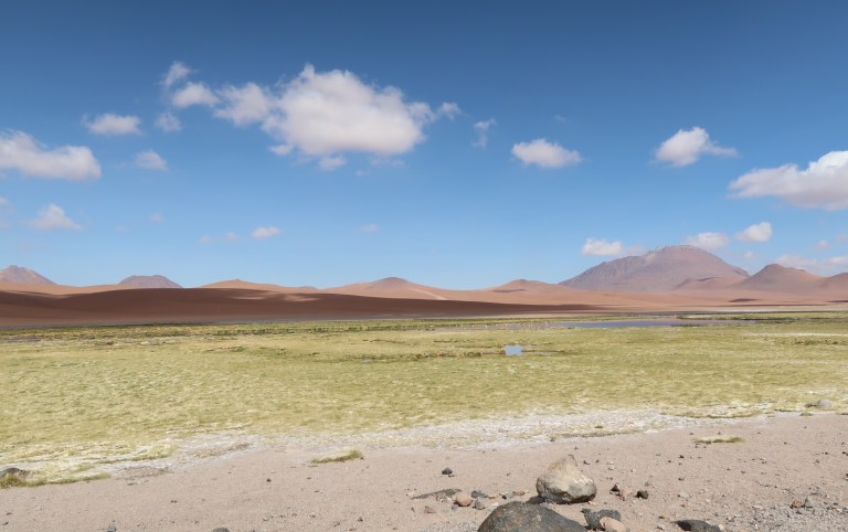 Ein atemberaubender Ausflug in die Wüste