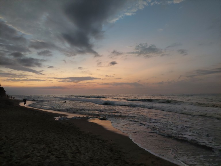 Palomino – zurück ans Meer