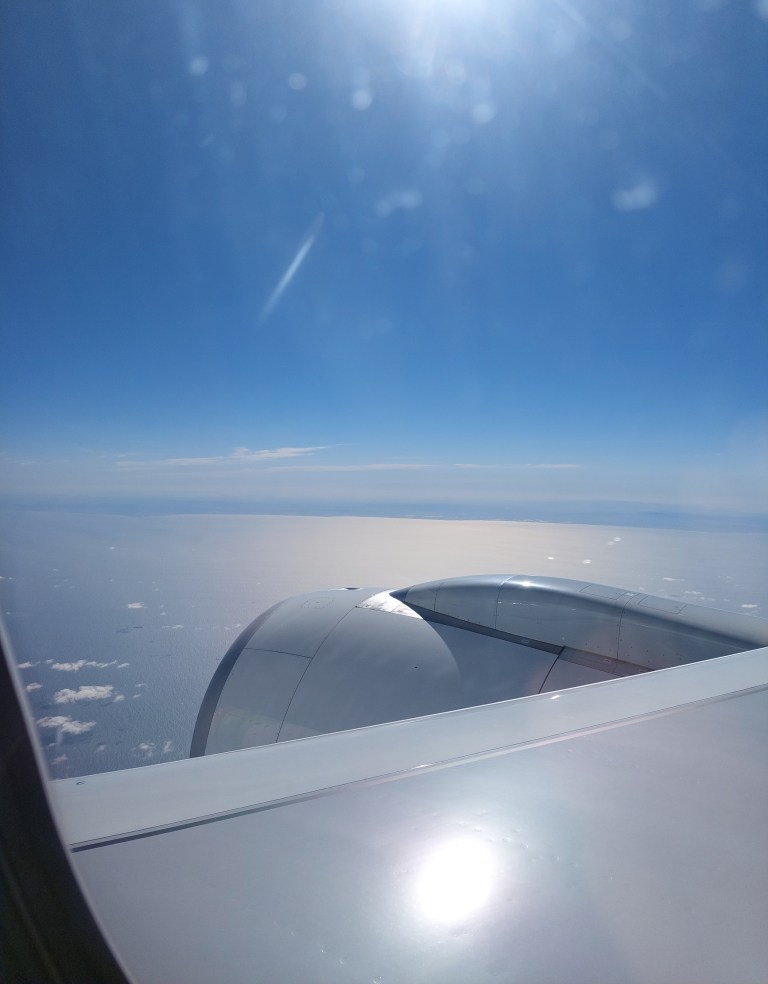 Zurück in den Sommer